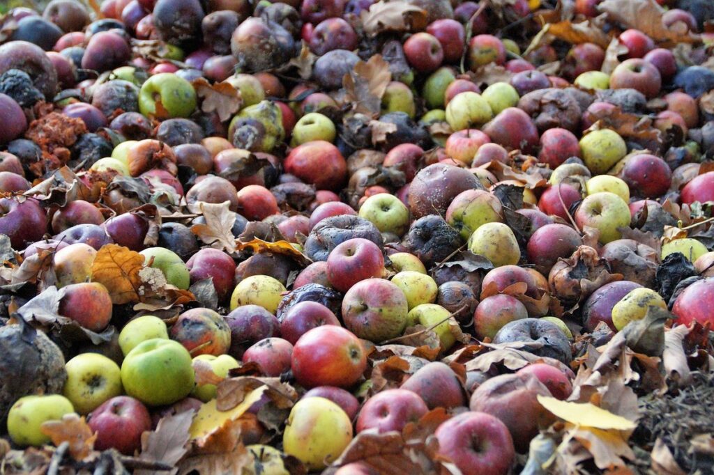 leaf mold compost