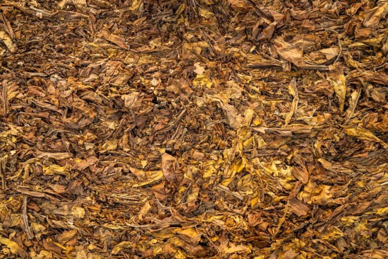 leaf mulch vs wood chips