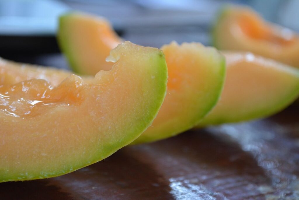 growing melons in short seasons
