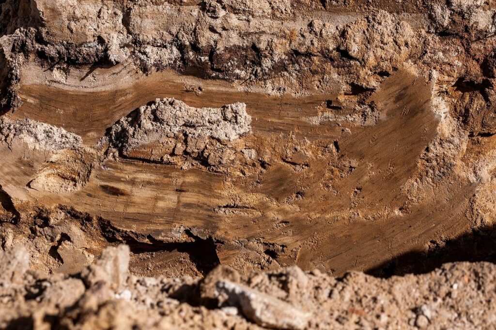 mineralizing soil
