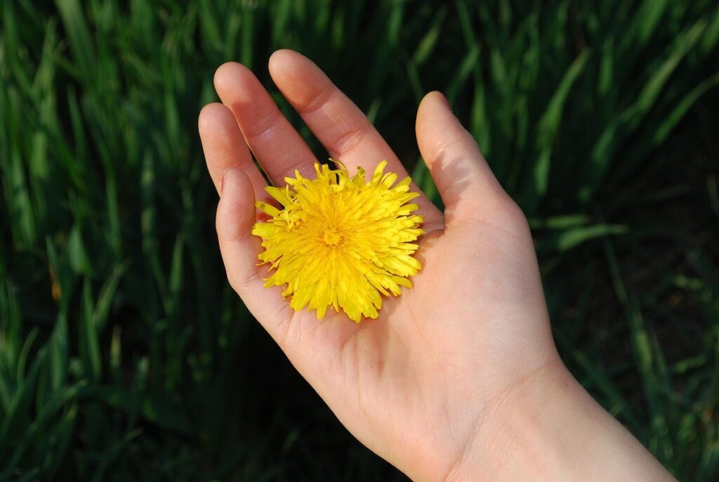 organic flowering fertilizer