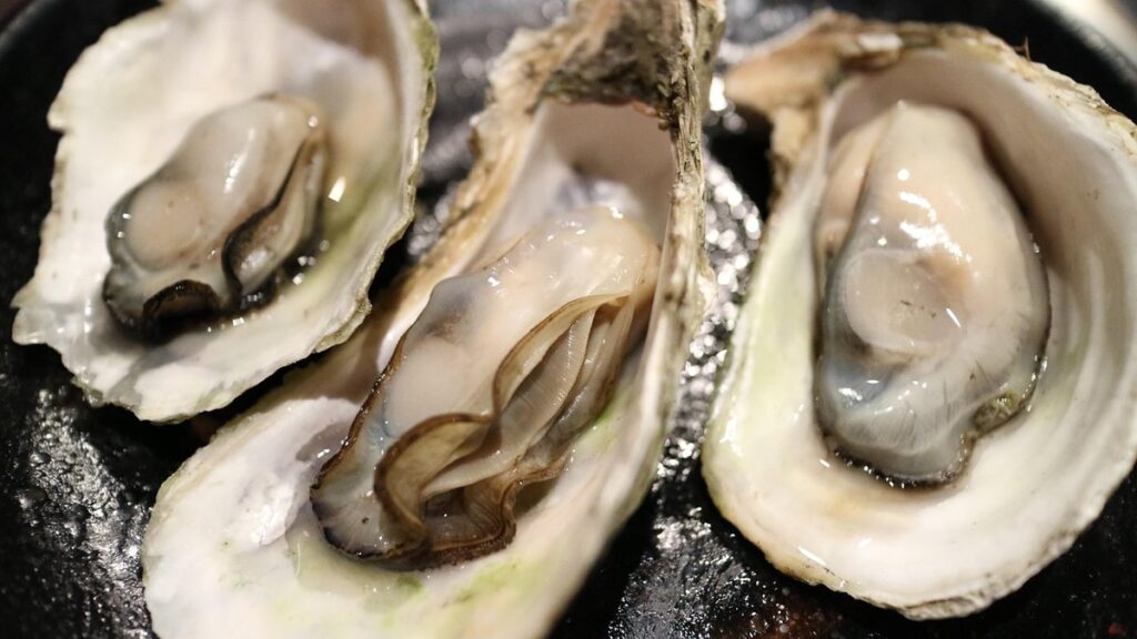 oyster shell fertilizer
