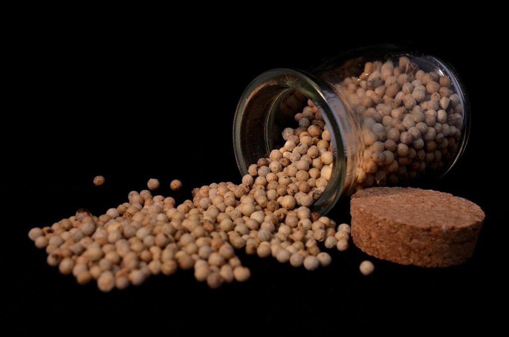 grow peppers in containers