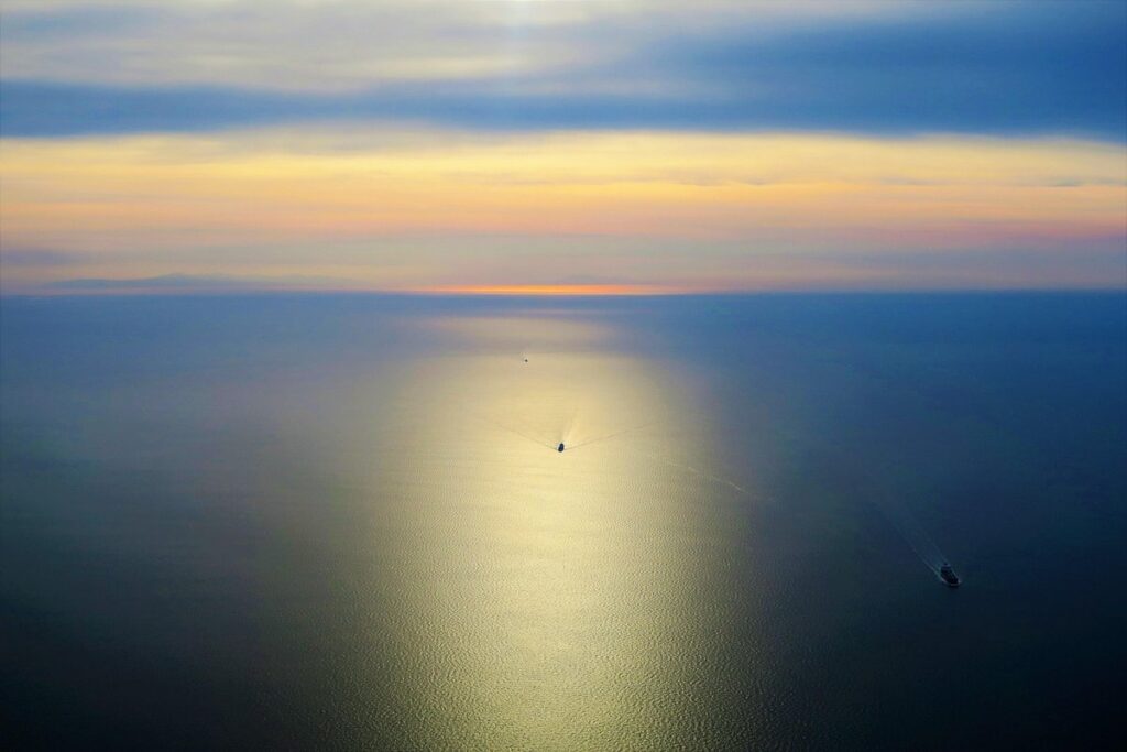 perlite vs vermiculite