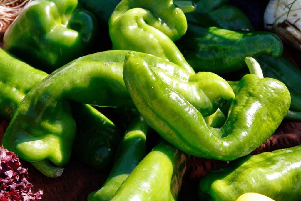 plants mostly which nutrient