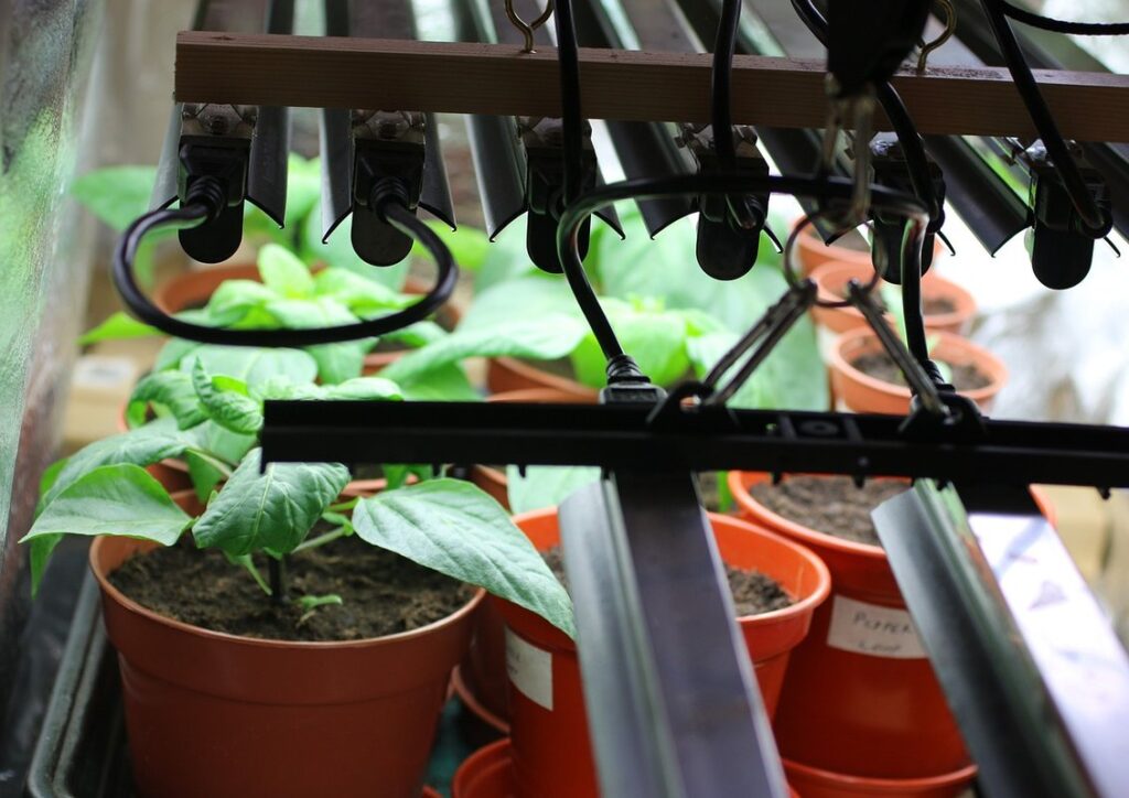 indoor grow lights for seedlings