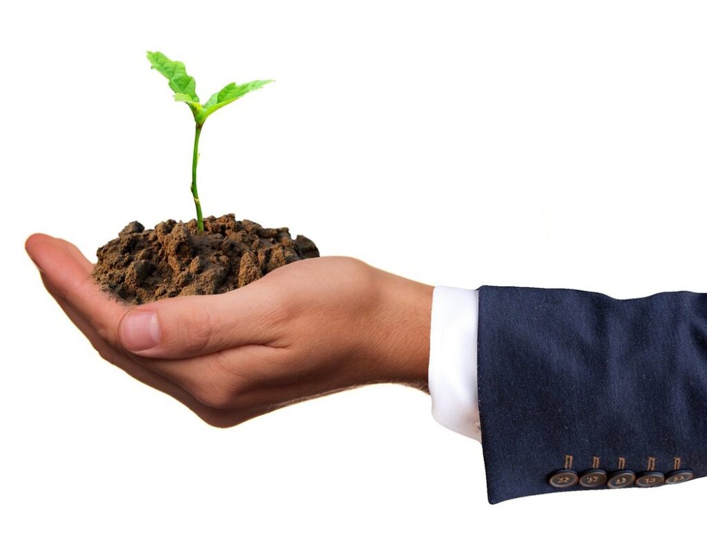 seedling damping off prevention