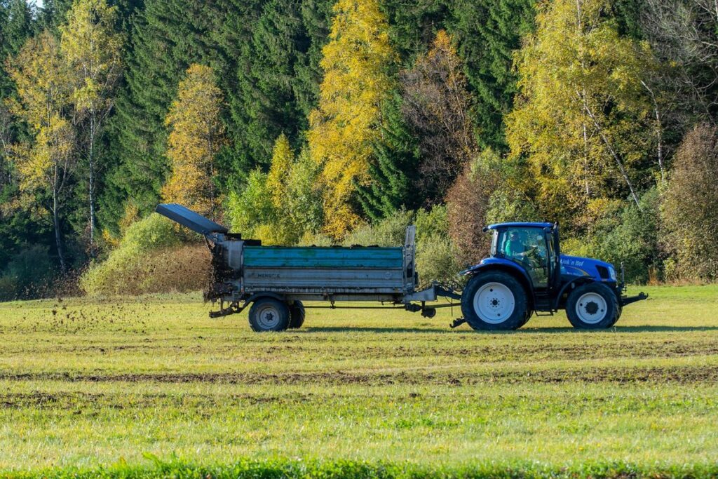 tomato fertilizing schedule