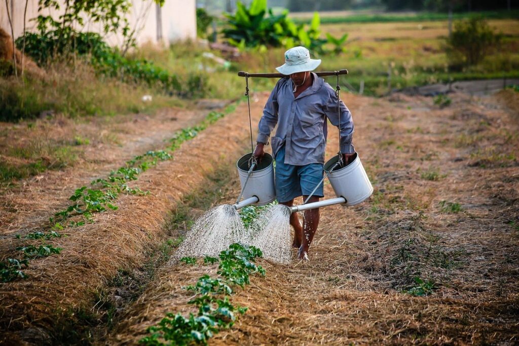 drip irrigation for vegetable garden