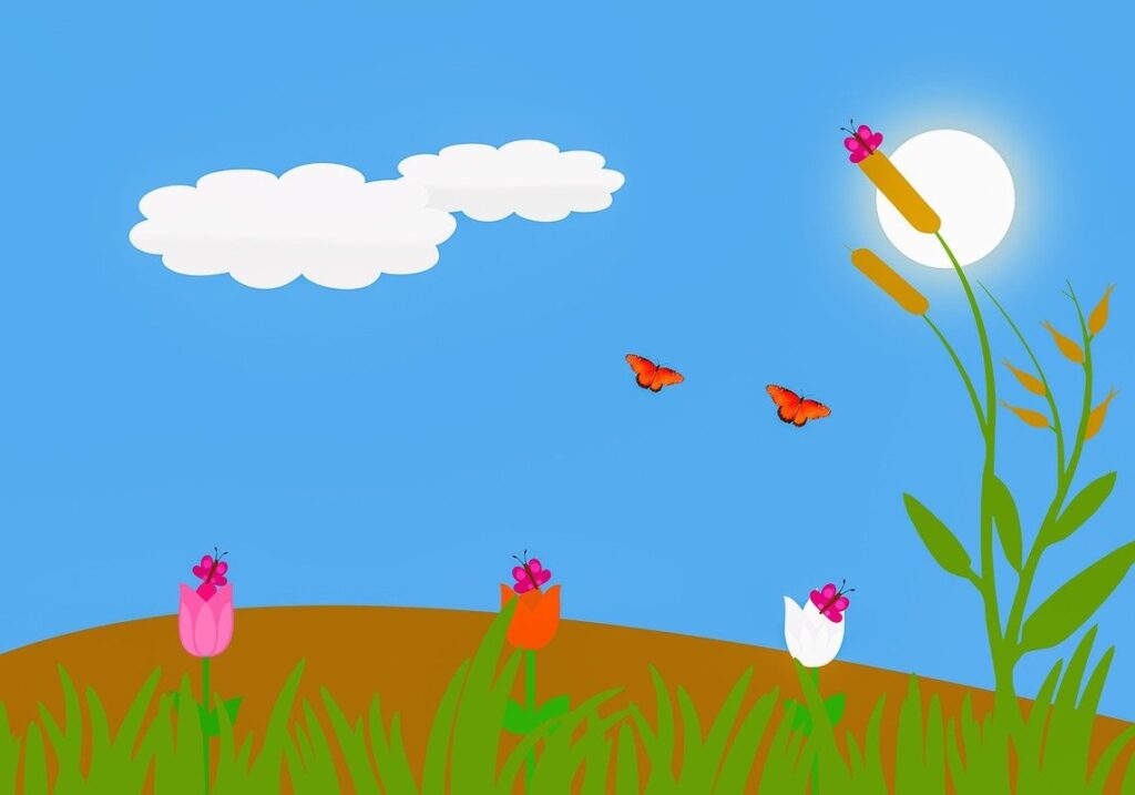 wildflower garden design