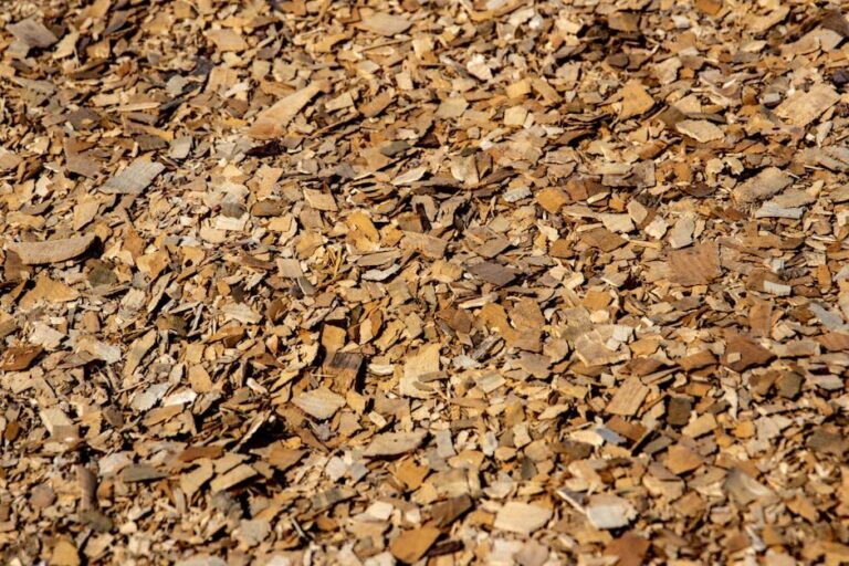 wood chips in garden beds