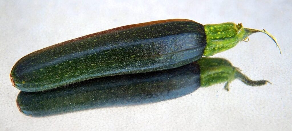 Zucchini in small spaces