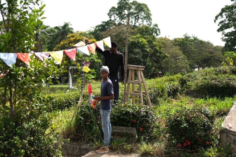 boron deficiency in plants