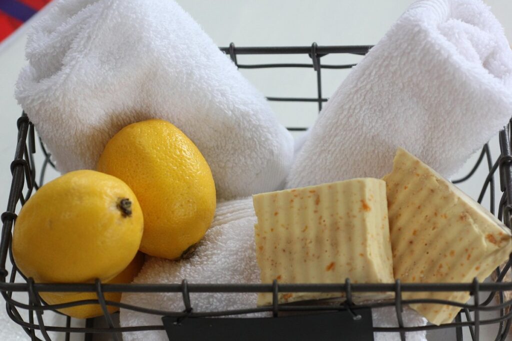 indoor citrus care guide