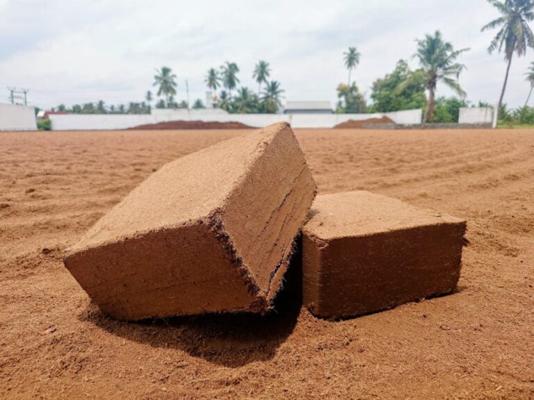 coco coir vs peat moss