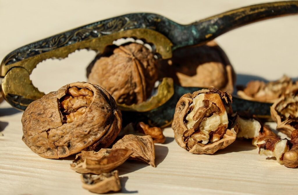 composting walnut shells