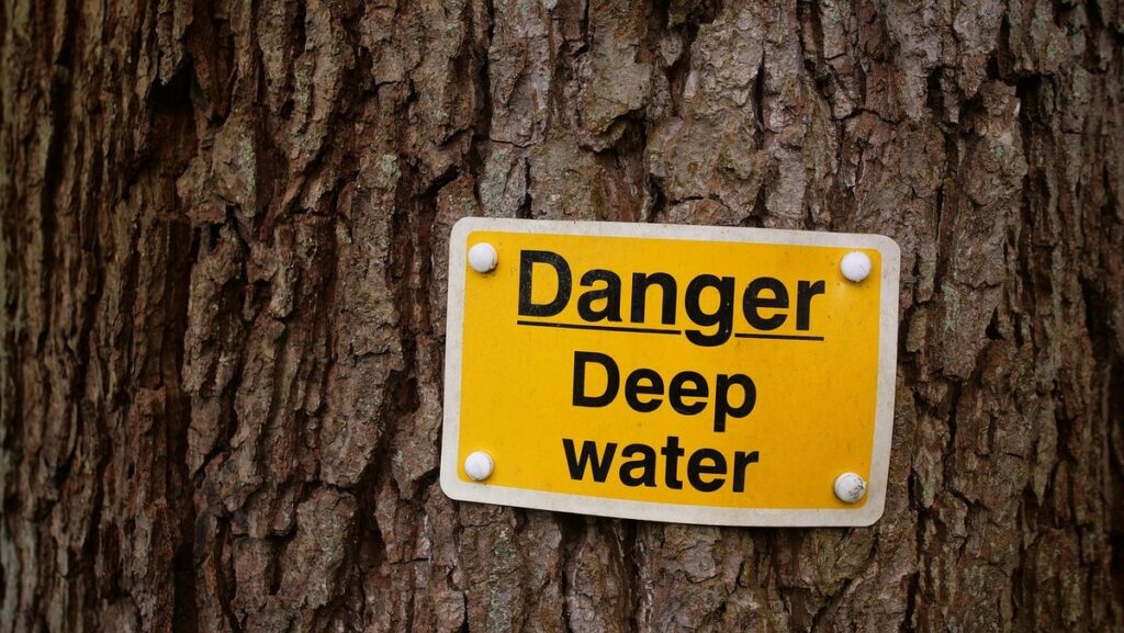 deep watering trees technique