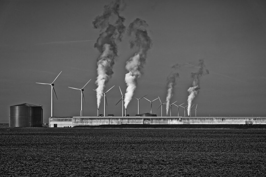 greenhouse storage shed plans