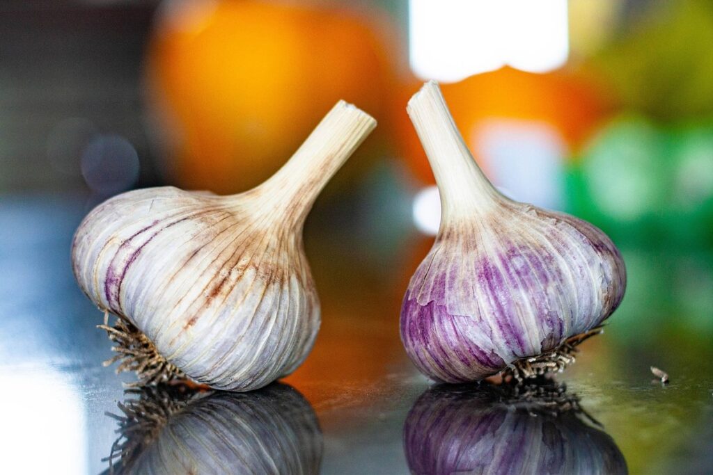 hardneck garlic varieties