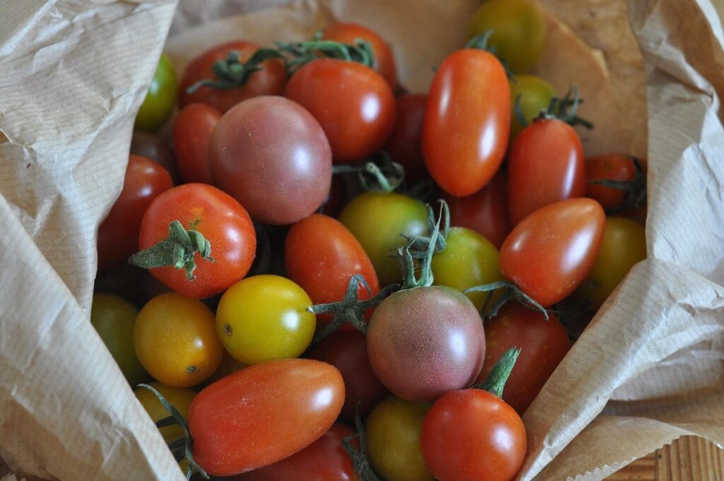 how long do heirloom tomatoes take to grow