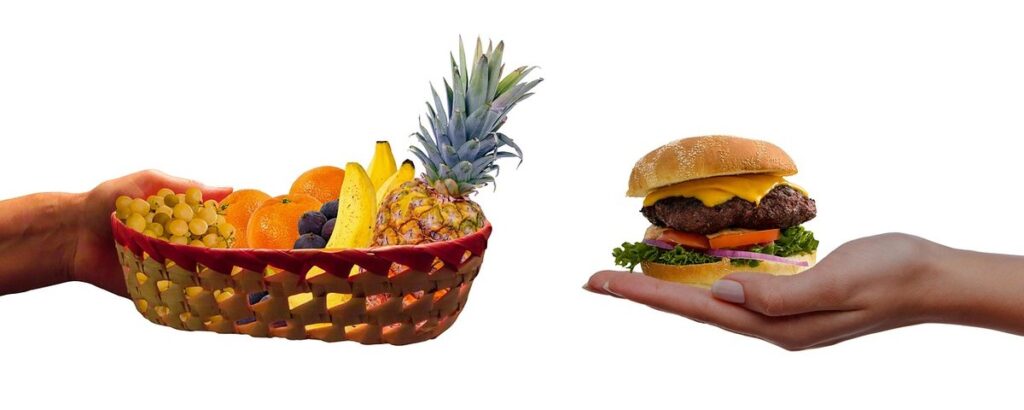 blood meal vs bone meal