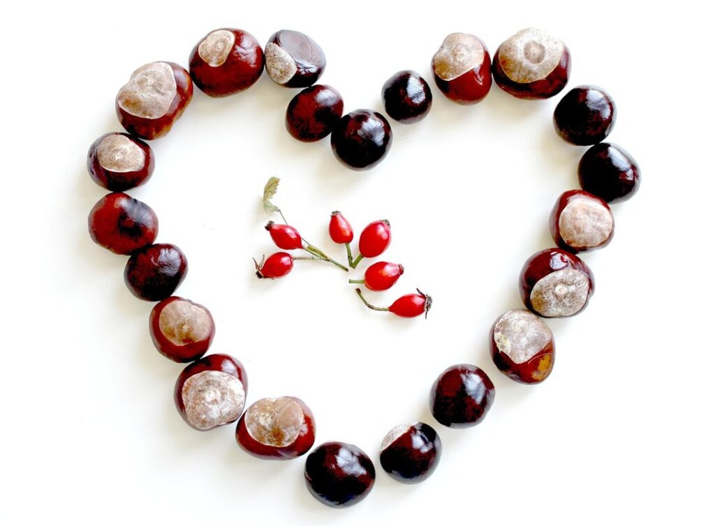 can you plant blueberries and raspberries together