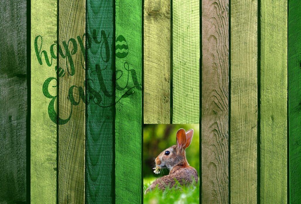 rabbit proof garden fencing