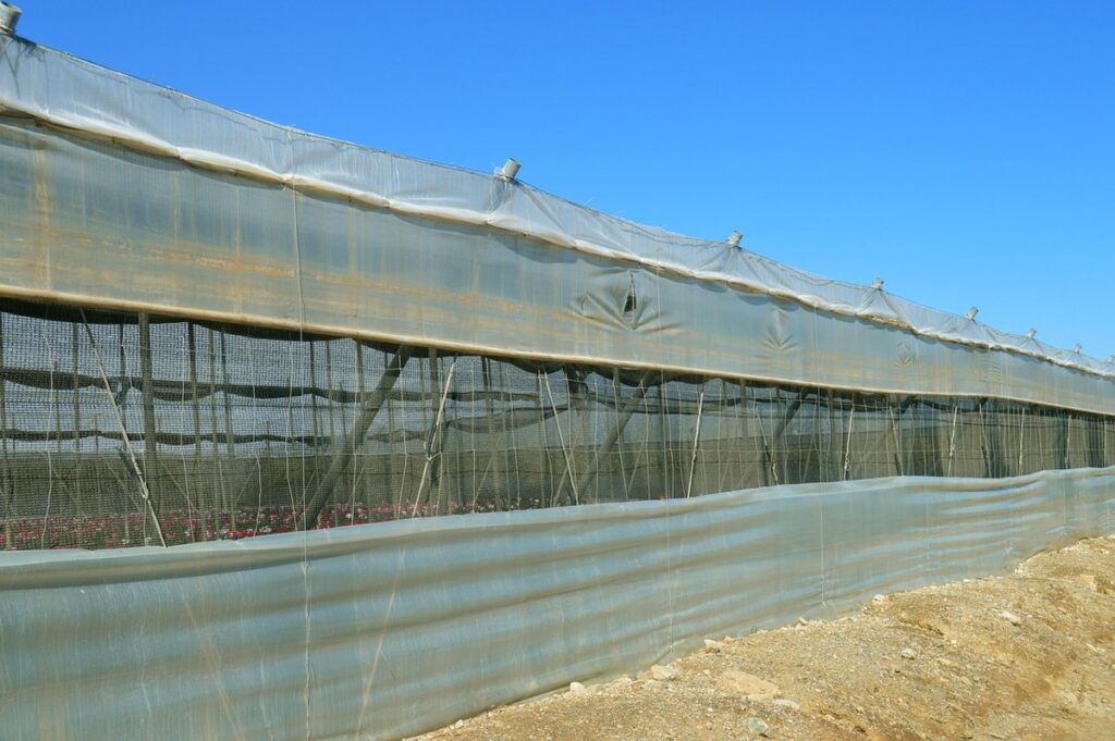 greenhouse plastic