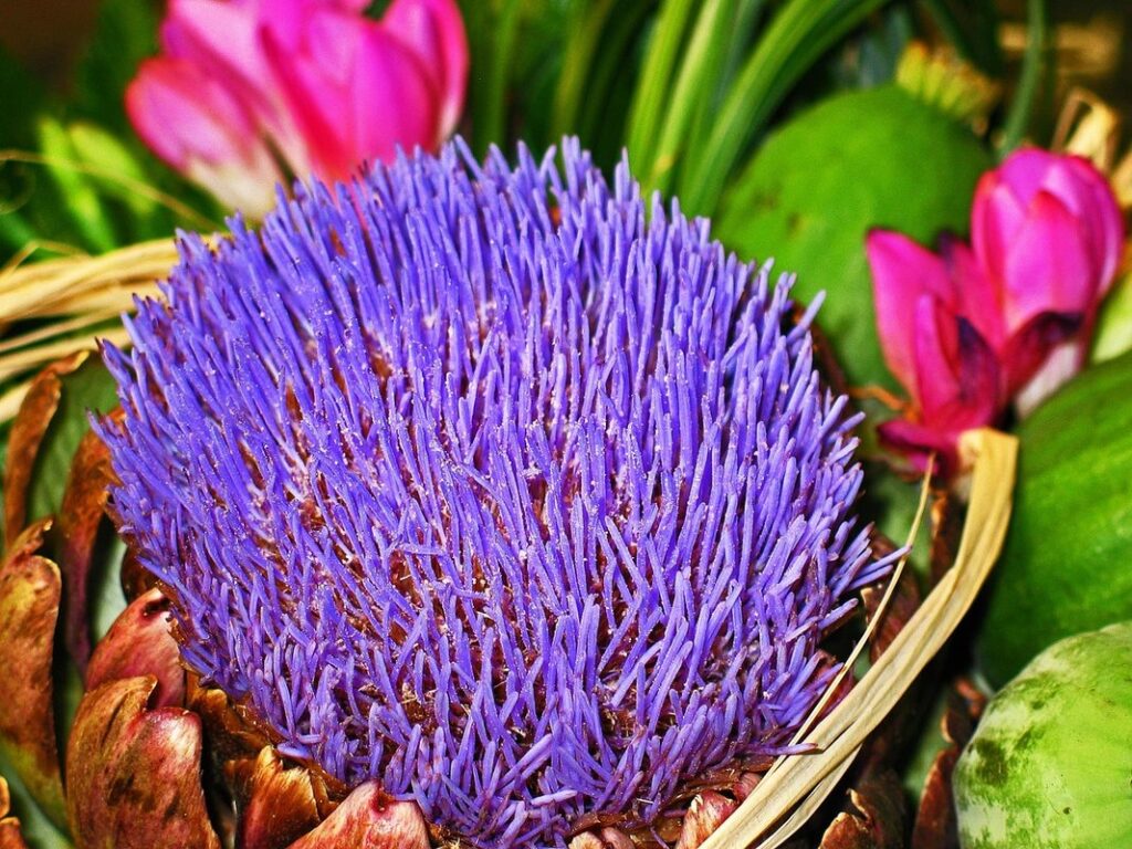 vegetable garden layout planning