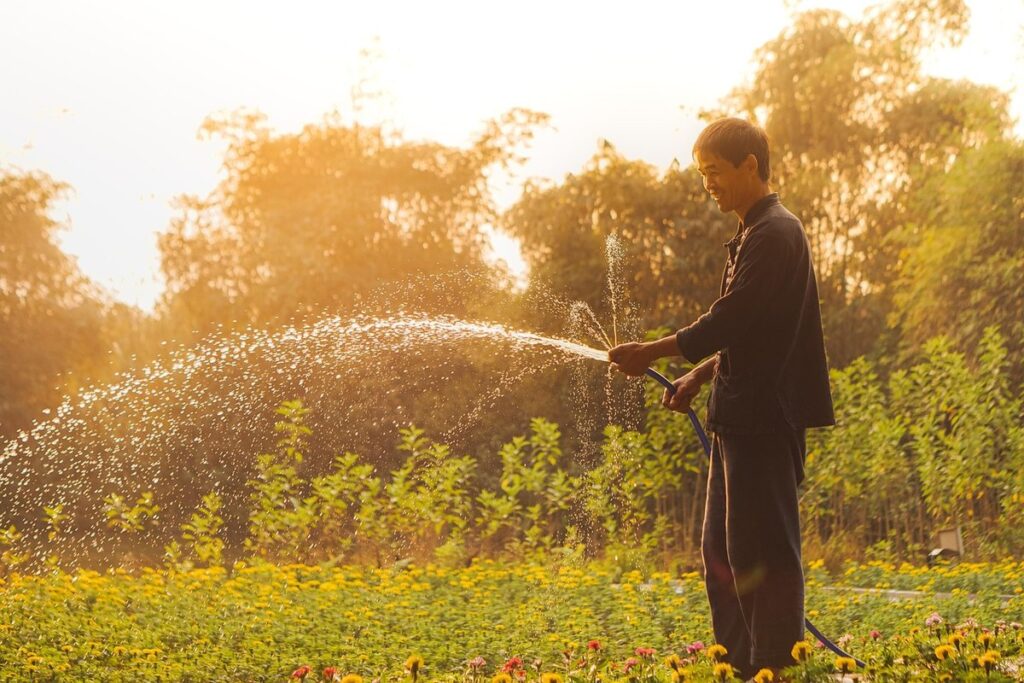 watering newly planted trees how much
