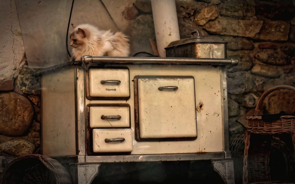 composting ash wood stove