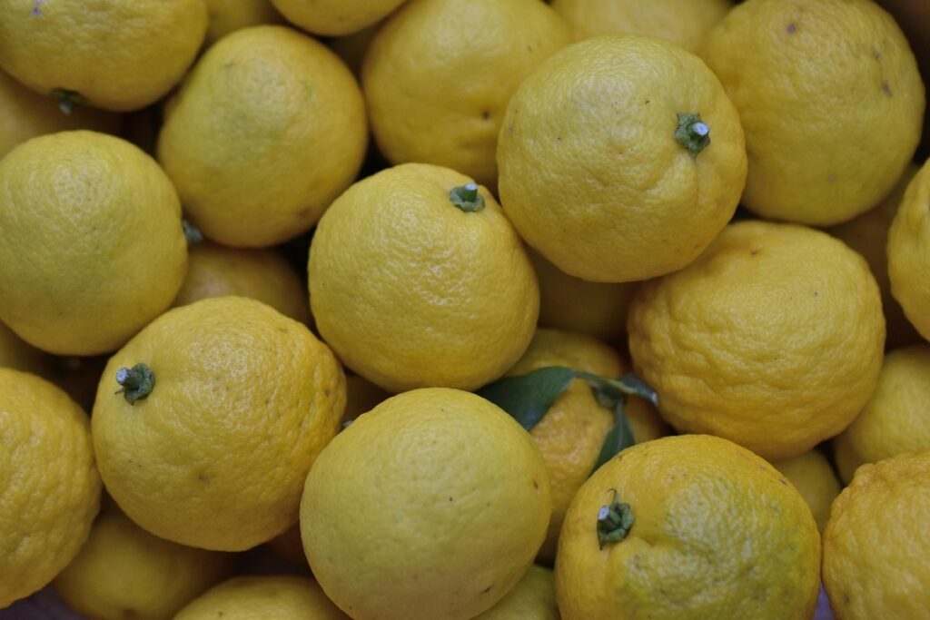 yuzu fruit