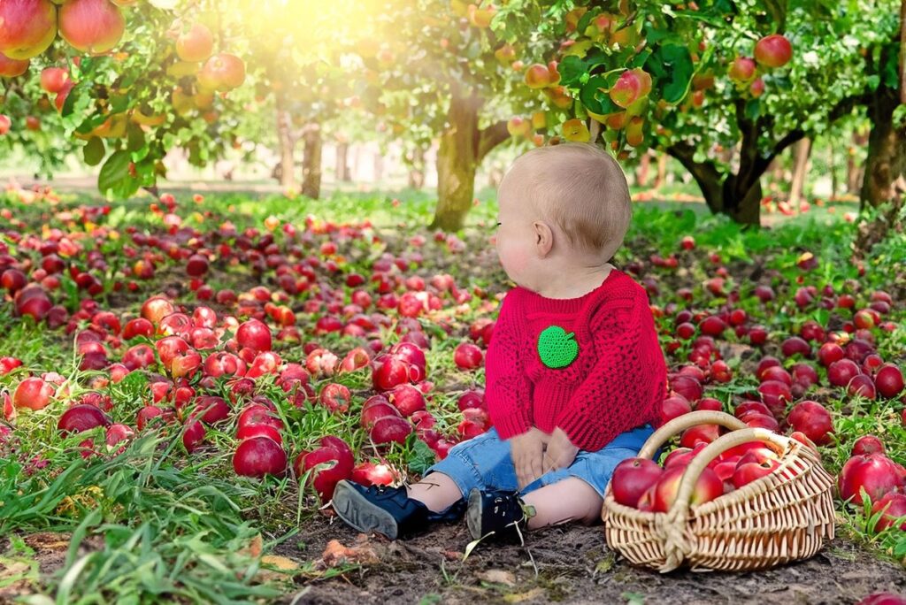 Apple picking
