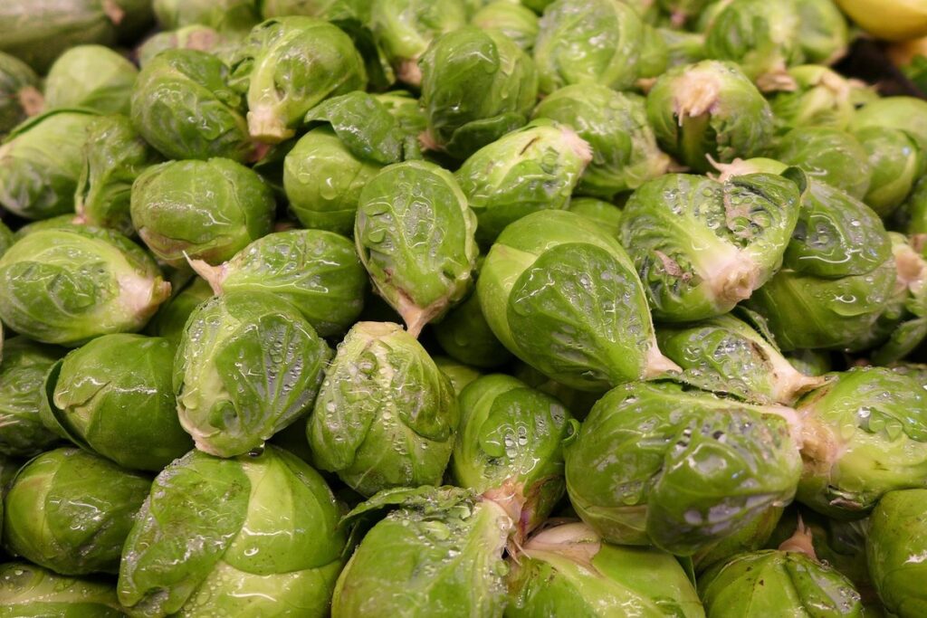 brussels sprouts staking and pruning