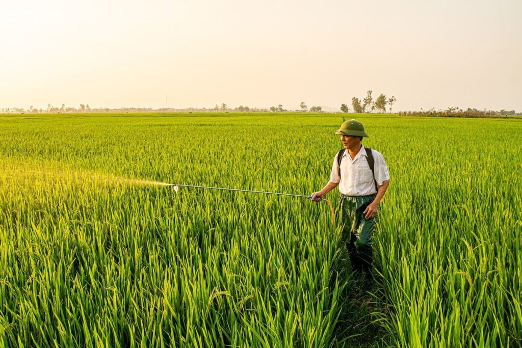 copper fungicide for plants