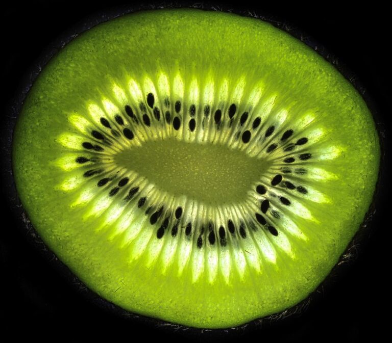 apple and berry parts