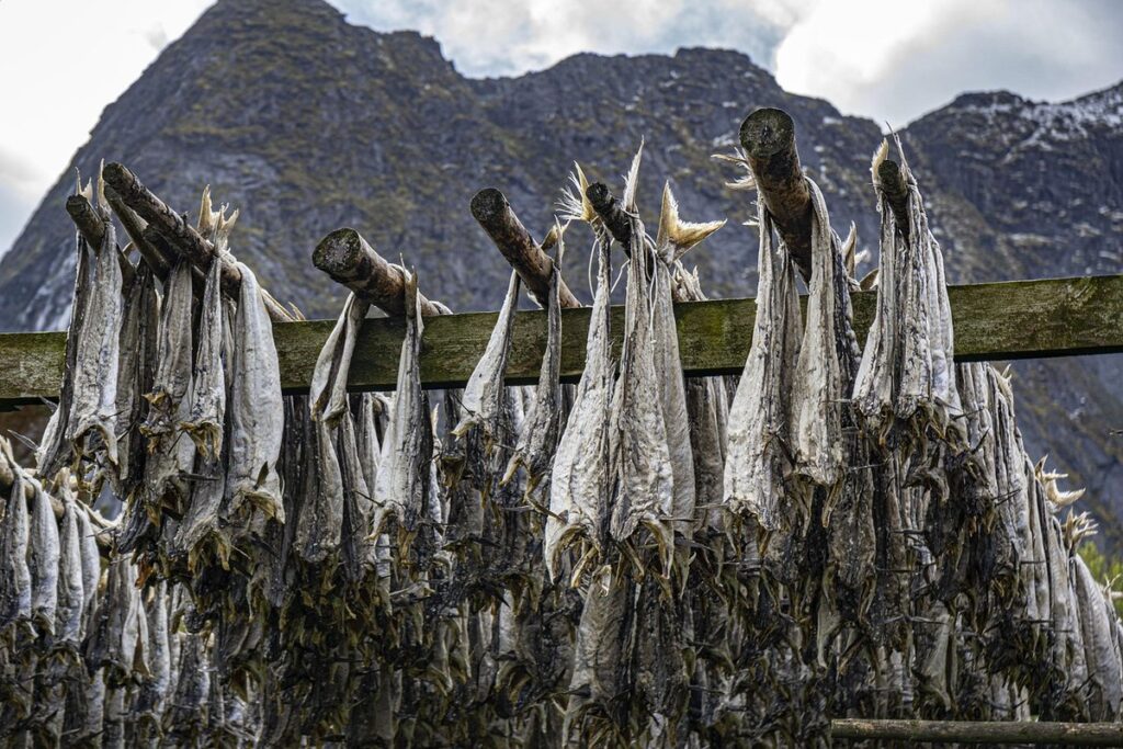 herb drying rack diy