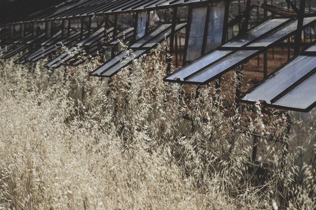 greenhouse from old windows