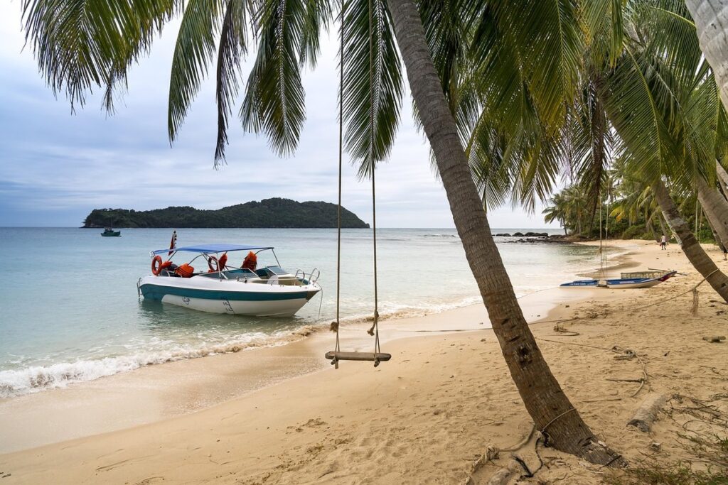 fun activities with plants