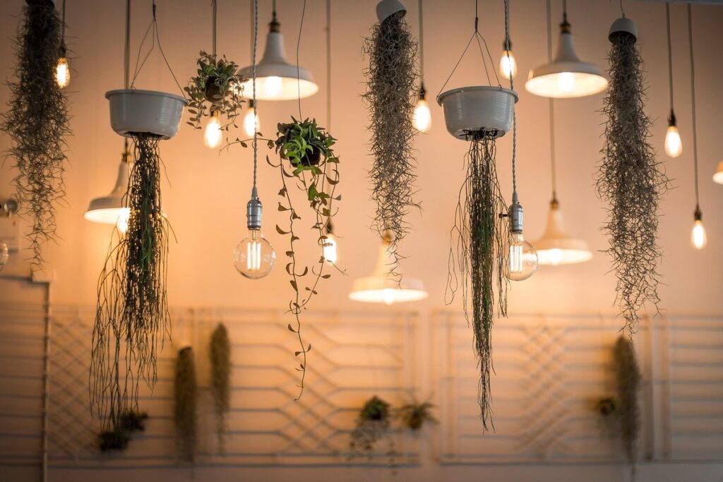 indoor plant lighting guide