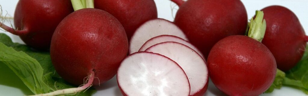 tough hard bland radishes