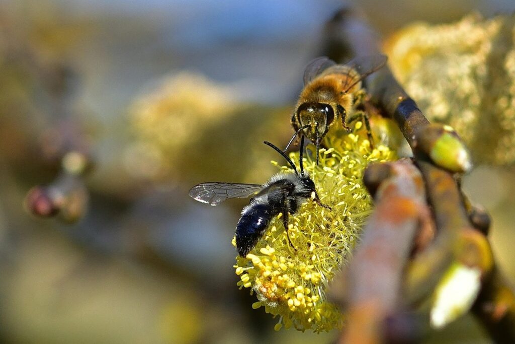 sandy soil gardening tips