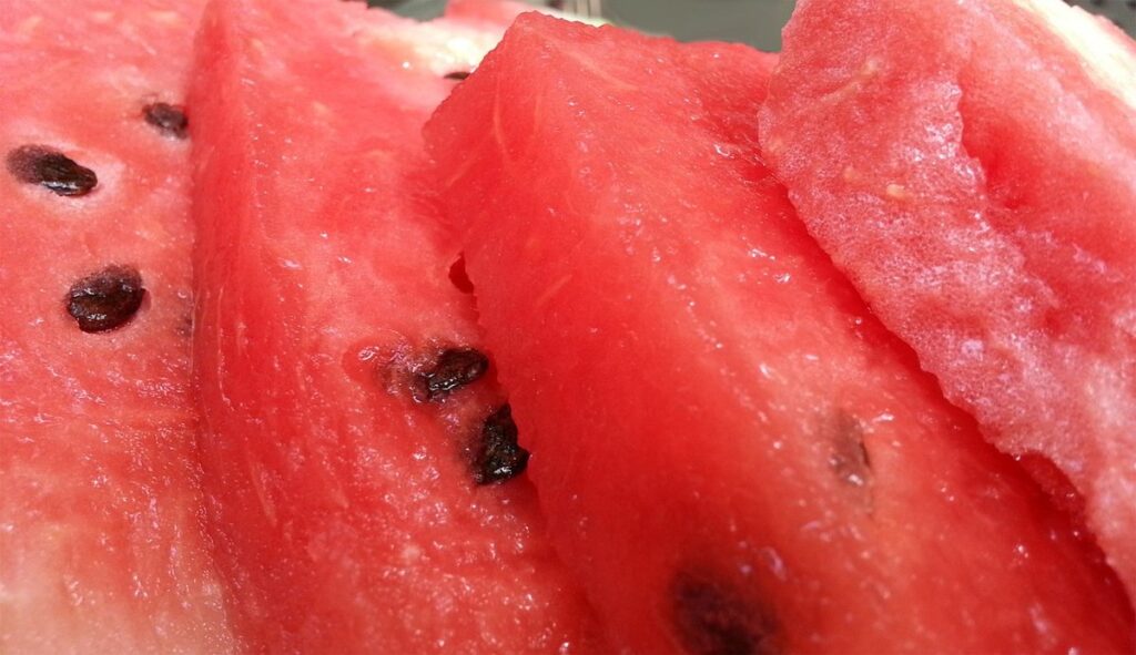 saving melon seeds