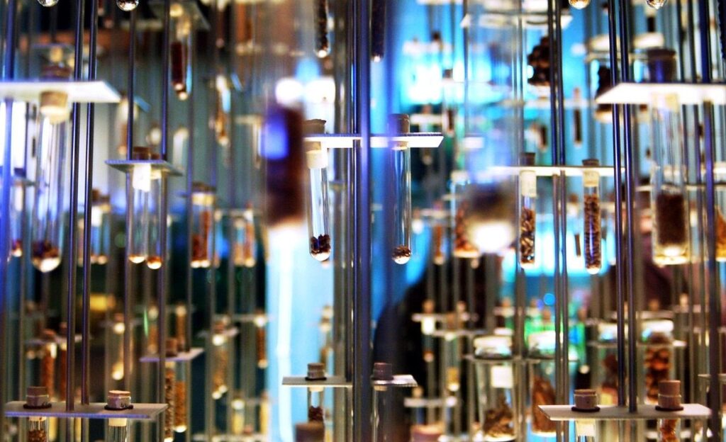 seed vigor testing home