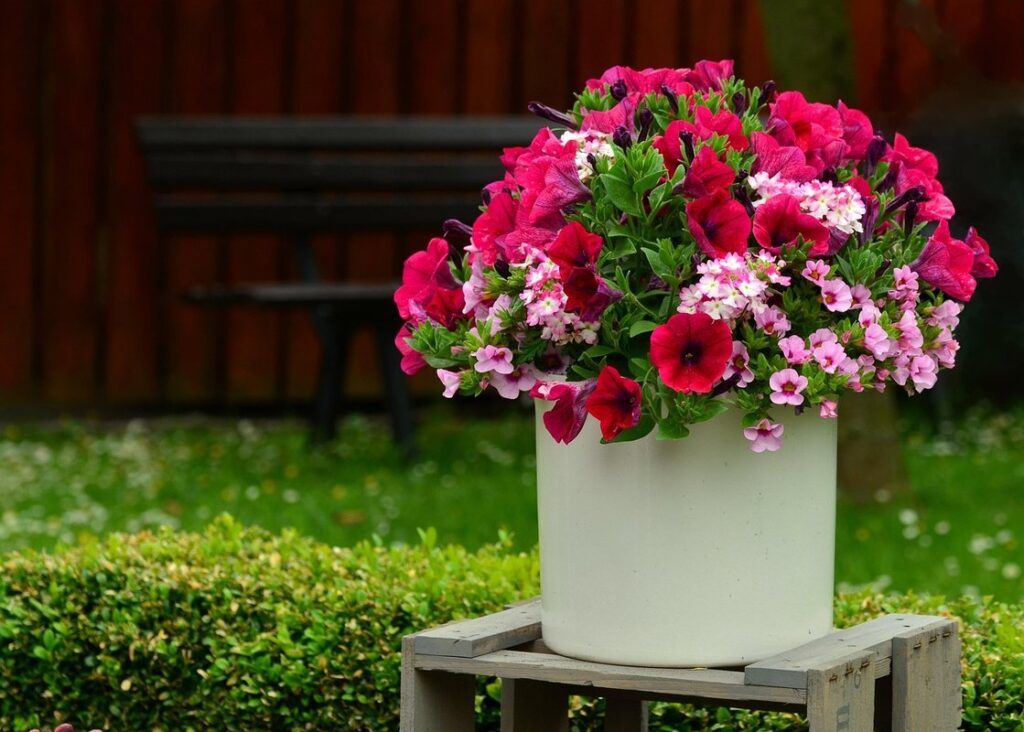 balcony container gardening
