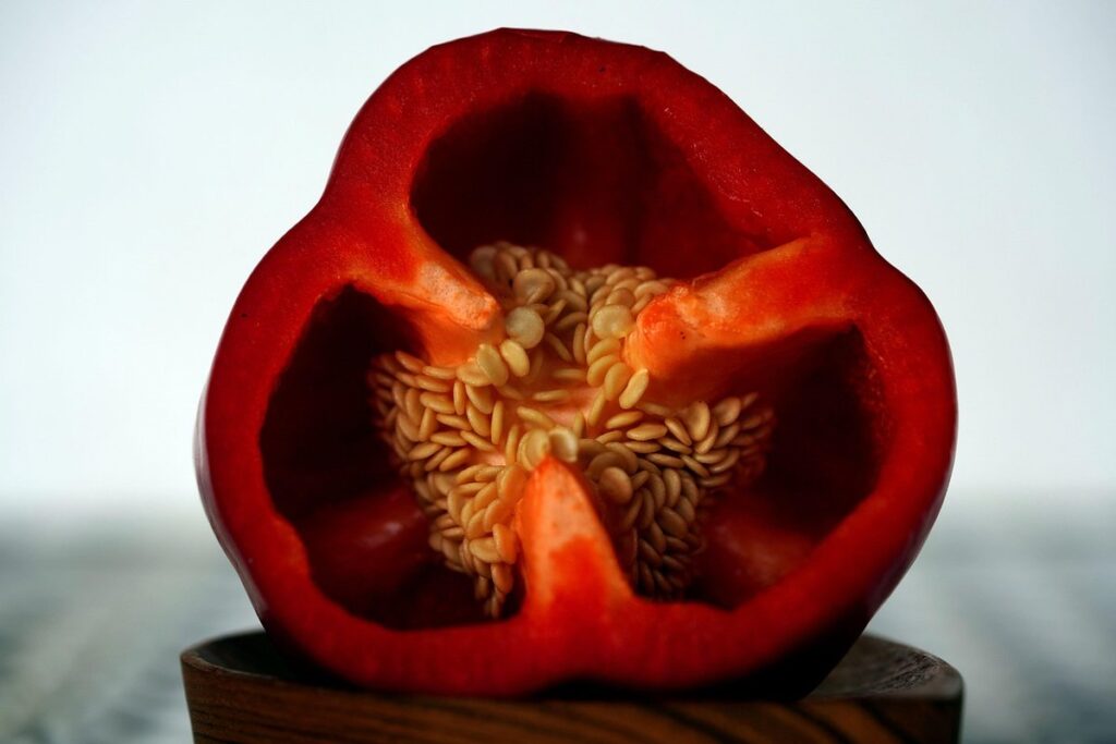 Bell pepper seeds