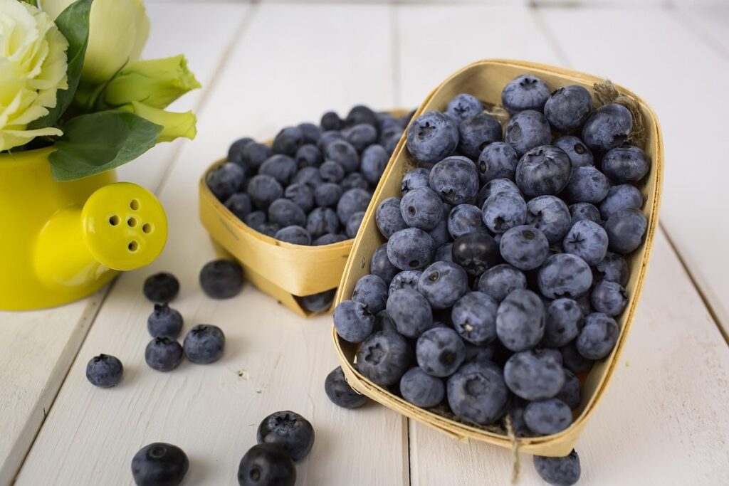grow blueberries in containers