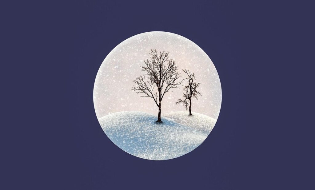 camellia freezing temperature