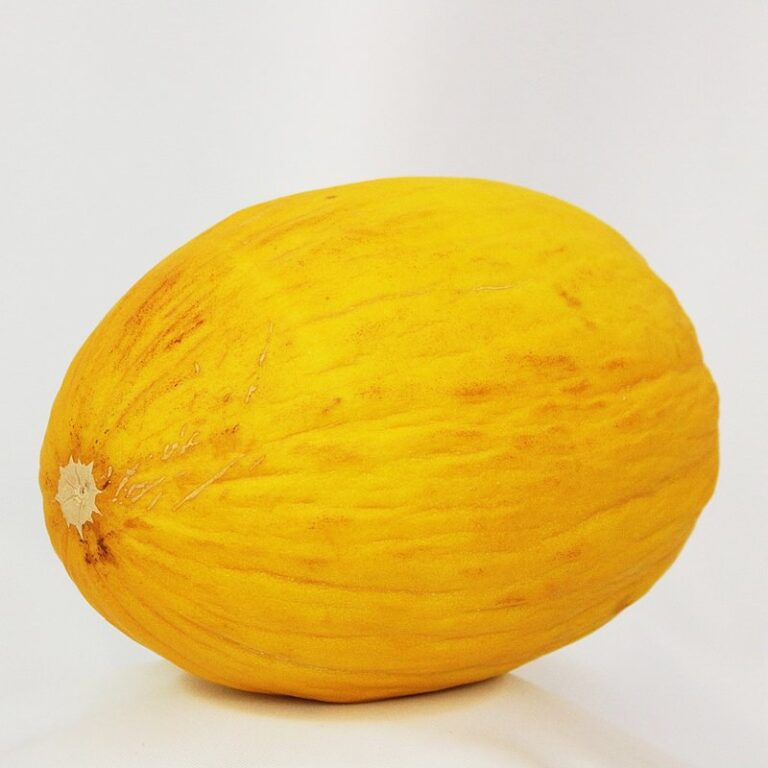 canary melon