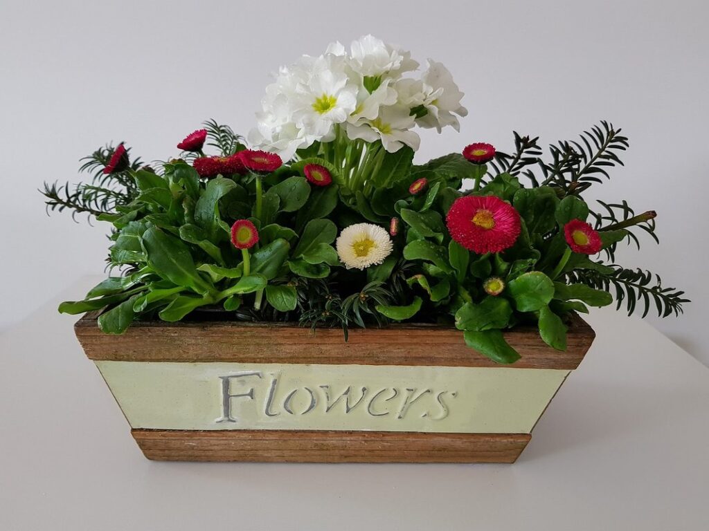Flowers in planters